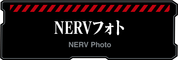 NERV 포토 스토어