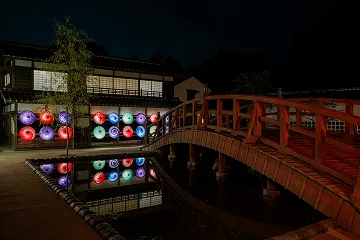 일본 우산